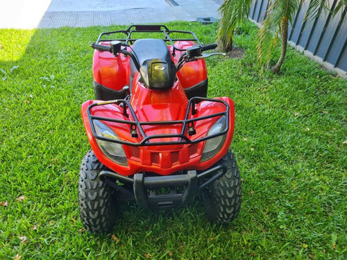 Arctic Cat 300 300 Parrillero