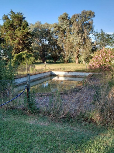 Imagen 9 de 17 de Campo En Venta En Pta Indio