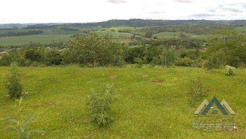 Imagem 9 de 17 de Chácara À Venda, 10000 M² Por R$ 255.000,00 - Nosso Recanto - Londrina/pr - Ch0207