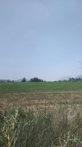 Parcela De 1 Hectárea En El Recurso, Buin | Piscina, Pozo Y