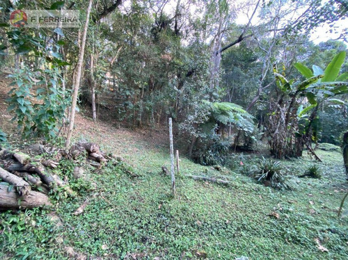 Imagem 6 de 30 de Chácara À Venda, 6000 M² Por R$ 1.100.000 - Engenho - Itapecerica Da Serra/sp - Ch0088
