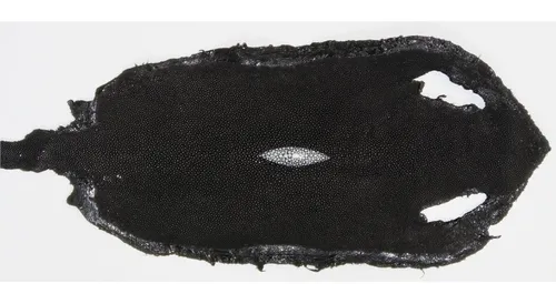 Piel De Mantarraya 100 Genuina Cuero Completo Carteras
