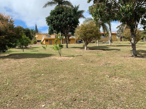Imagem 4 de 14 de 3.500 M², 02 Dormitórios, Portão Eletrônico E Poço !!
