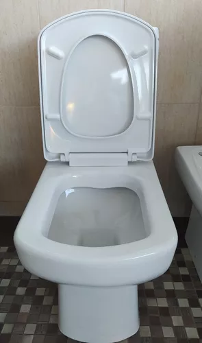 Asiento con tapa para inodoro Dama Senso Roca