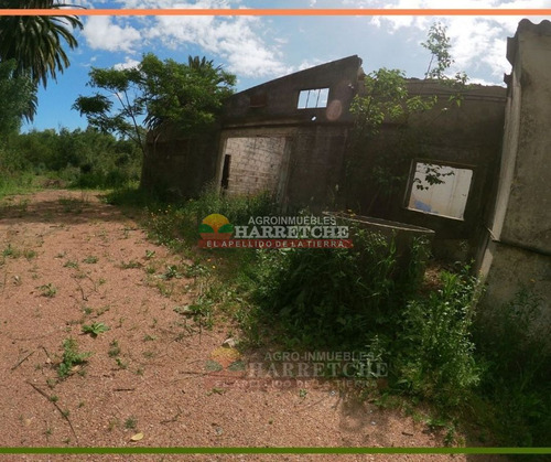 Imagen 11 de 25 de Chacra 3 Has En Melilla, Zona Uam, Cno Polvorin, Construcciones A Reciclar.