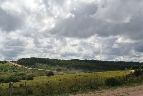 Campo En Venta