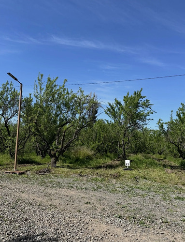 Acceso Sur- Rio Maipo- Curihue/ -parcela Con Luz Y Agua Inst