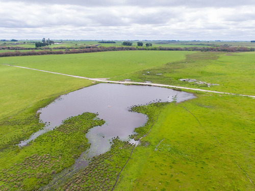 Campo En Venta En Florida Ref. 4408 (ref: Cbr-669)