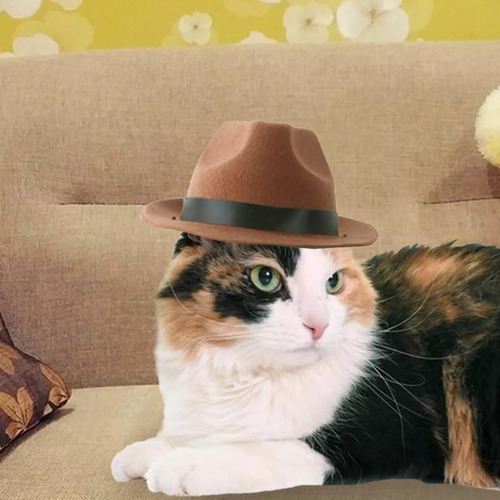 Gorro De Vaquero Para Mascotas De 4 Piezas, Accesorios