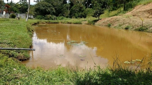 Imagem 7 de 22 de Venda Chácara Itapecerica Da Serra Bairro Mombaça - Vi139
