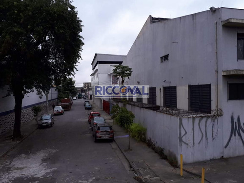 Imagem 4 de 4 de Galpão Em Jardim Andarai - São Paulo - 3921
