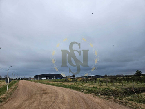 Venta Terreno Ruta 5 Montevideo Prox. Perimetral, Logistica (ref: Xcm-14734)