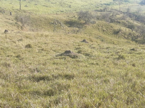 Imagem 11 de 13 de R17-lote Direto Com O Proprietario!