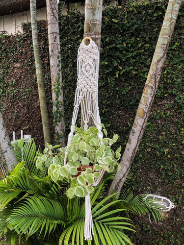 Suporte De Plantas