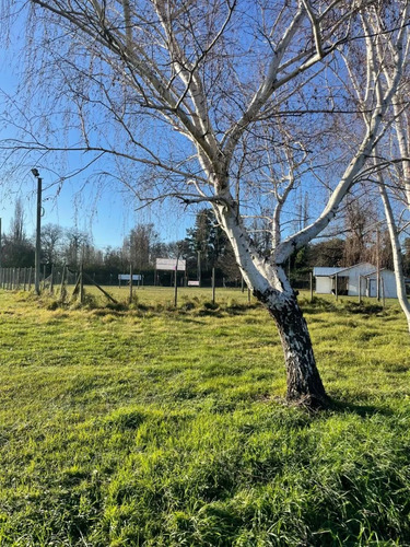 Maravillosa Parcela Camino Antuco, Con Canal De Riego