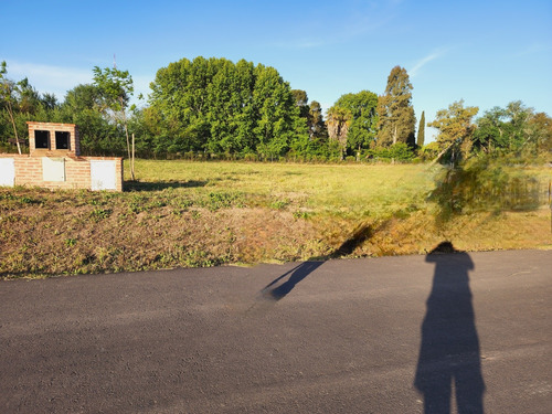 Terreno En Villa Odilia