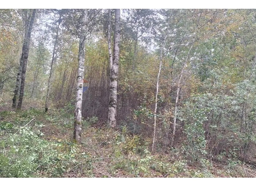 Venta De Terreno En Caburgua