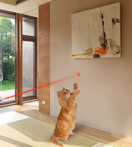 Juguete Gatos Apuntador Láser Luz Roja 12 Puntas De Diseños