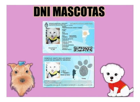 Plantillas Dni Mascotas / 3 Versiones Editables Psp