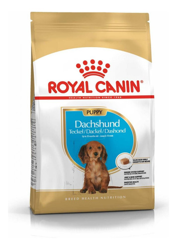 Royal C Dachshund Puppy 1.13 Kg