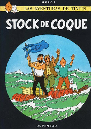 Libro Tintin 19 Stock De Coque