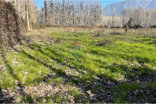 Venta De Terreno Agrícola Coltauco » Vi Región.