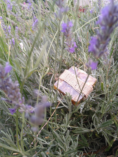 Crema Y Jabón De Lavanda Hidratante Antiséptico Refrescante