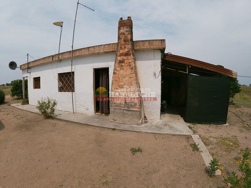 Imagen 13 de 21 de Chacra En Canelón Grande, 5 Has Con Casa, Cañada.