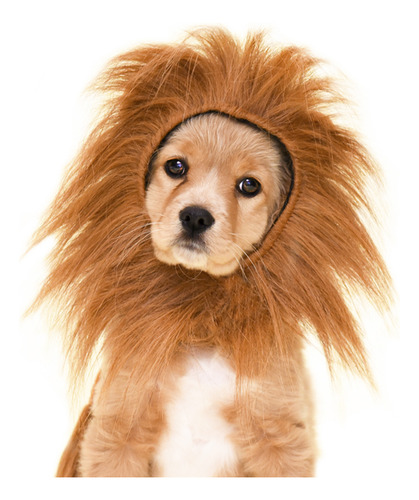 Peluca Para Mascotas Cabeza De Leon