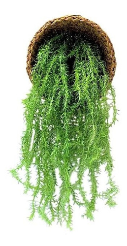 Buques Folhagens Pendente Capim Planta Artificial Realista