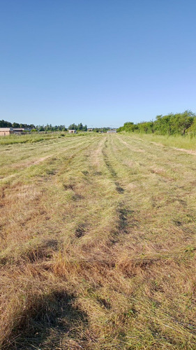 Venta De Terrenos En Quillón