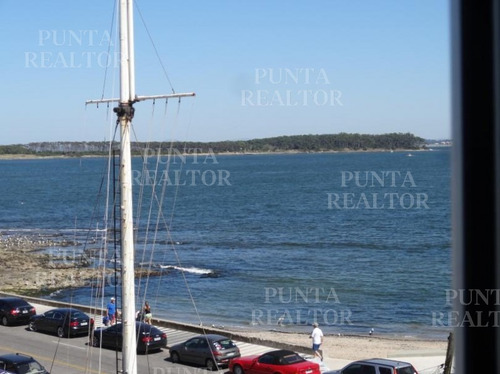 Apartamento En Alquiler En El Puerto De Punta Del Este- Ref: 297
