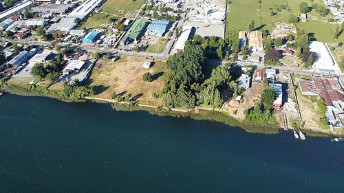 Invierter En La Perla Del Sur, Vasto Terreno En Valdivia