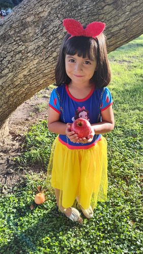 Vestido Princesa Blanca Nieves Snow White Tull Disney Nena