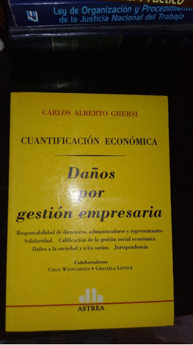 Daños Por Gestión Empresaria. Ghersi