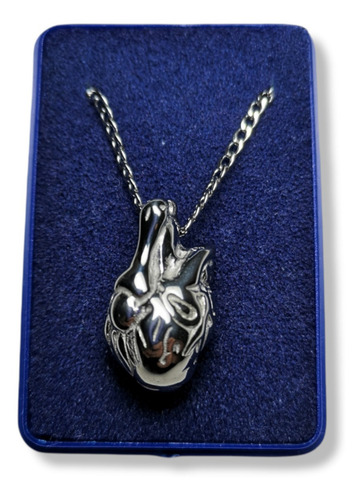 Dije Corazon Macizo Cardiologo C/ Cadena Todo Acero Quirurgi Color Acero Quirúrgico