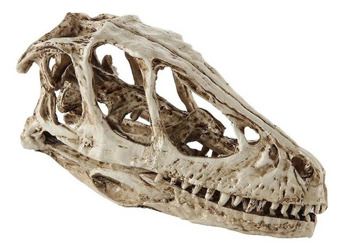Réplica De Resina De Calavera De Dinosaurio, Modelo Animal