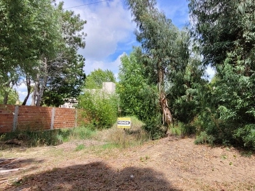 Venta Lote Terreno En San Bernardo 20 X 50 1.000 M2 Zona Residencial