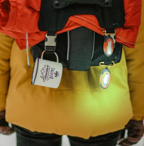 Dos Linternas Led Portátiles Luz De Día, Baterías Incluidas