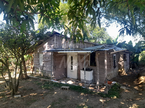 Finca Disponible, Casa Principal, Local Comercial, Casa De Capataz Y Gran Terreno Sembrado De Plátanos, Yuca, Naranjas Y Otros (jpc-232)