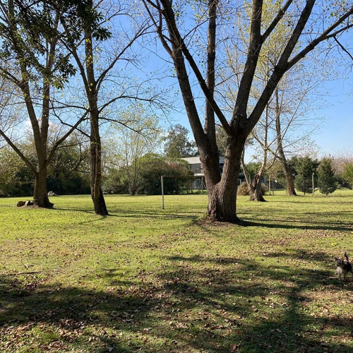 Imagen 8 de 15 de Lote En Arana En Venta De 2560 Mtrs .calle 636 Y 16 Con Hermosa Forestación
