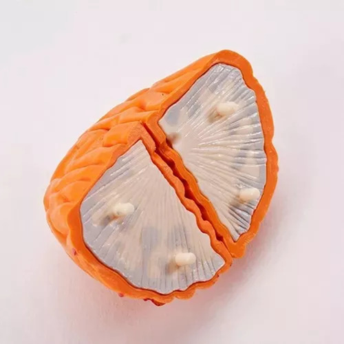 Modelagem Funcional De Ferramentas De Anatomia Cerebral C
