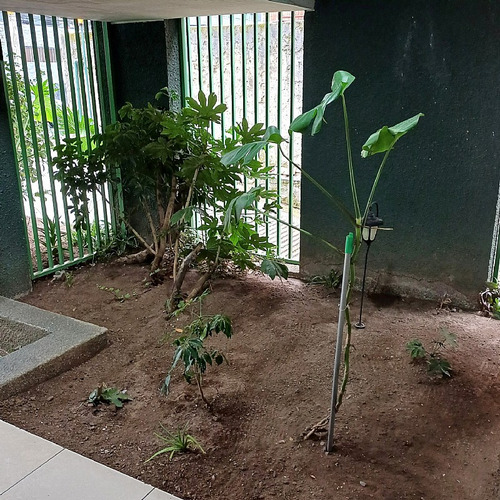 Vende Departamento En Sector Céntrico De Concepción.