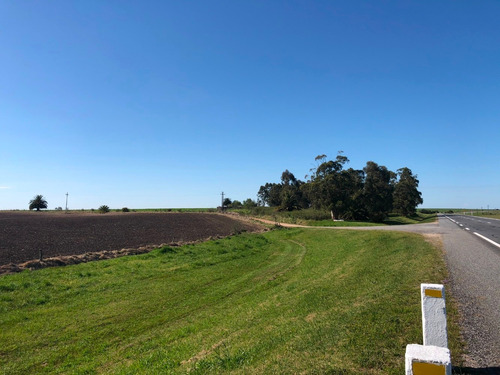 Campo Agrícola-ganadero De 92 Hás En Venta En San José.