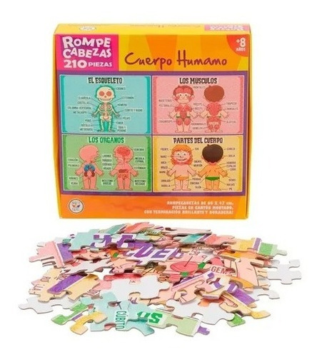 Rompecabezas Cuerpo Humano 210pzs Barco Papel