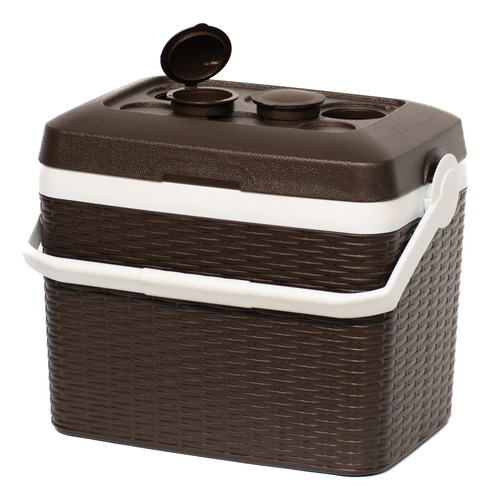 Cooler Nevera Ratan 30 Lt Cava Portatil Para Camping
