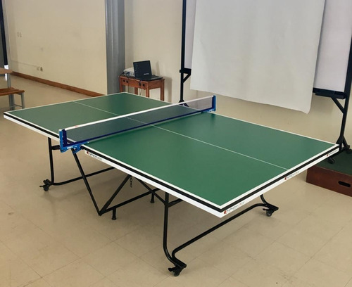 Mesas De Ping Pong Personalizadas, 38 Años De Experiencia