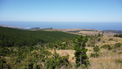 Terrenos De 5000m2 Subdividibles En 400m2 Con Vista Al Mar.