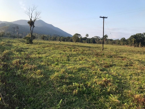 Imagem 7 de 29 de Fazenda À Venda, 3509000 M² Por R$ 2.000.000 - Centro - Pariquera-açu/sp - Fa0216