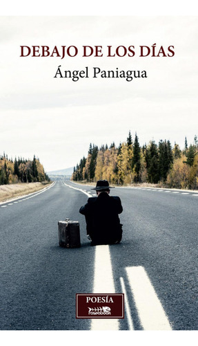 Libro: Debajo De Los Días. Ángel Paniagua. Raspabook